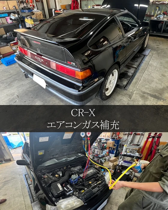 画像513